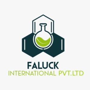 WhatsApp Image 2025-08-23 at 2.41.10 PM